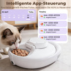 Intelligenter Nassfutterautomat für Katzen mit Halbleiterkühlung und Heizung App 4 Mahlzeiten Infrarotsensor