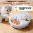 Intelligenter Nassfutterautomat für Katzen mit Halbleiterkühlung und Heizung App 4 Mahlzeiten Infrarotsensor