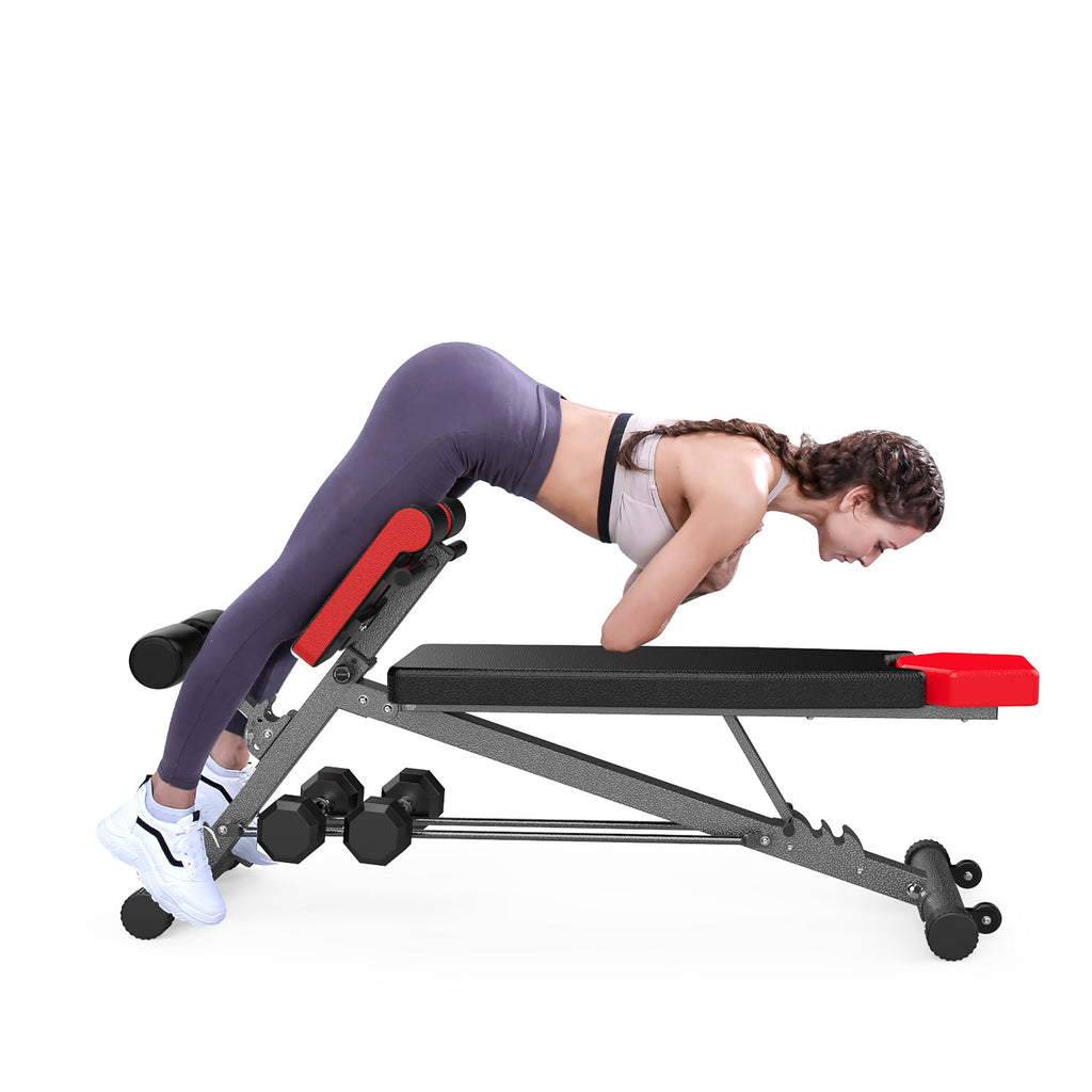 Multifunktionale Hantelbank mit Bauchtrainer und Rückentrainer für Fitness und Krafttraining zu Hause