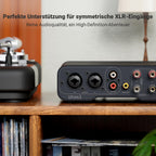 ZA3 Stereo Mono Verstärker mit TPA3255 XLR RCA Eingängen 12V Trigger Mini Monoblock für Lautsprecher Subwoofer