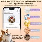 Intelligenter Nassfutterautomat für Katzen mit Halbleiterkühlung und Heizung App 4 Mahlzeiten Infrarotsensor