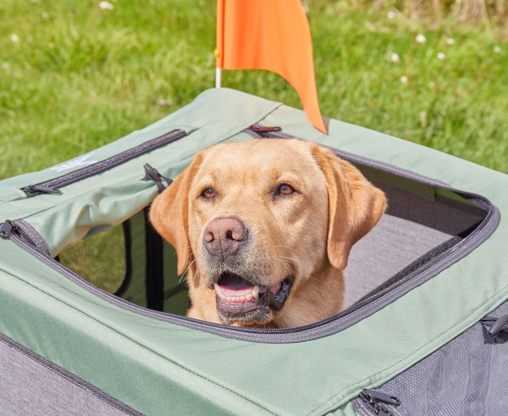 Hundeanhänger Fahrradanhänger Buggy bis 45 kg faltbar leicht stabil mit Sicherheitsleine Reflektoren Cruvado