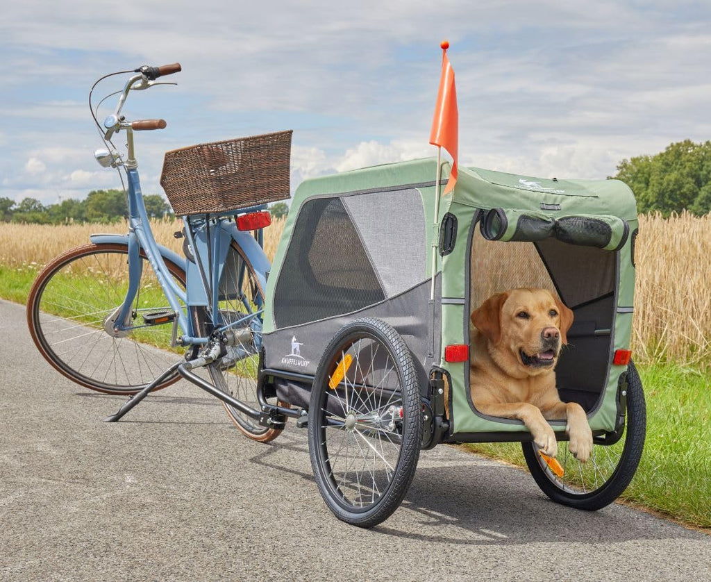 Hundeanhänger Fahrradanhänger Buggy bis 45 kg faltbar leicht stabil mit Sicherheitsleine Reflektoren Cruvado