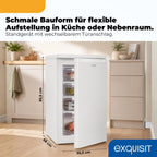 GS512040E Gefrierschrank Tiefkühlschrank 91 Liter Nutzinhalt klein in Weiß Energieeffizienzklasse E