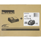 Power Source Kit, 2 Werkzeugakkus mit Ladestation, Ersatzakkus für Elektrowerkzeuge, 197570-9
