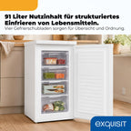 GS512040E Gefrierschrank Tiefkühlschrank 91 Liter Nutzinhalt klein in Weiß Energieeffizienzklasse E