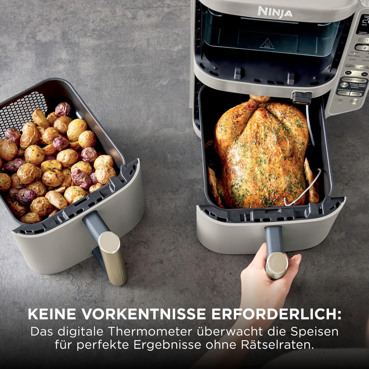 Multifunktionale Double Stack XL Heißluftfritteuse mit 6 Funktionen in Steingold SL451EUSD