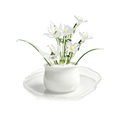 Glasblumentopf-Set, Miniatur künstliche Pflanze, Schreibtischdekoration, Weiß