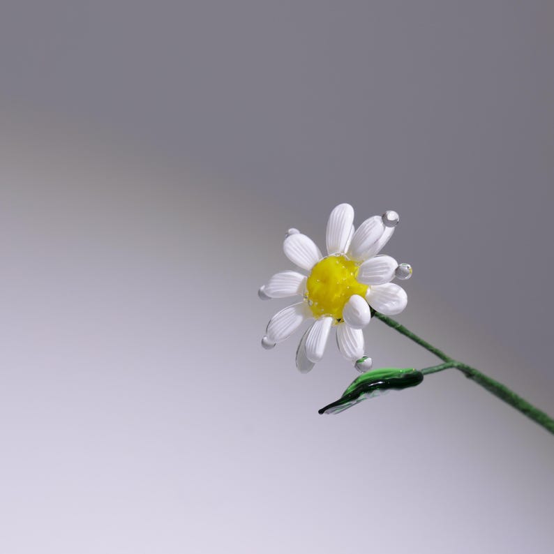 mundgeblasene Glasgänseblümchen