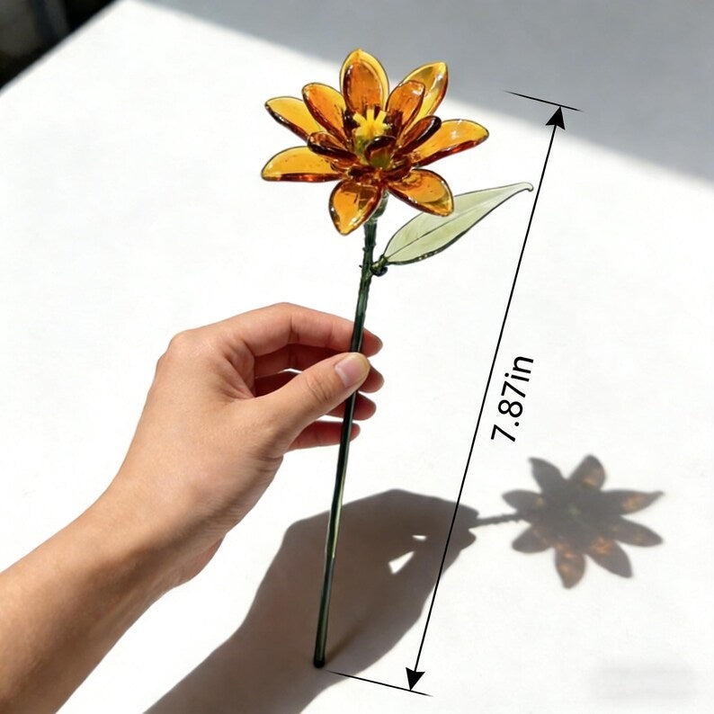 Mundgeblasene Glasringelblume, 20 cm, bernsteinfarben
