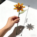 Mundgeblasene Glasringelblume, 20 cm, bernsteinfarben
