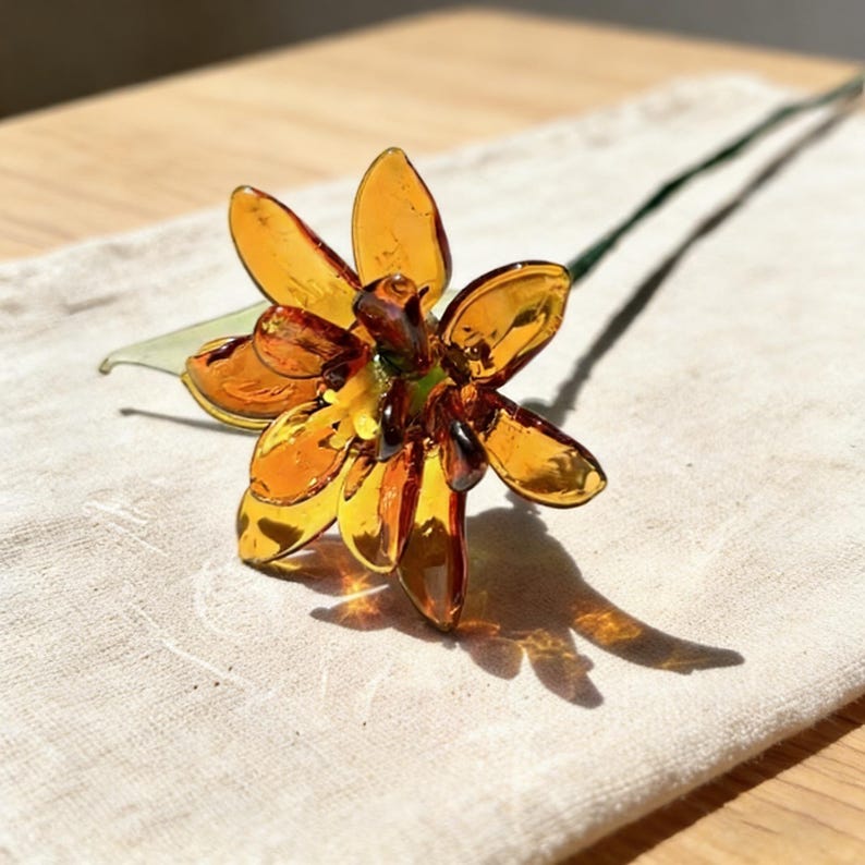 Glasringelblume, 20 cm, Orange-Gold