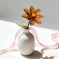 Glasringelblume, 20 cm, Orange-Gold