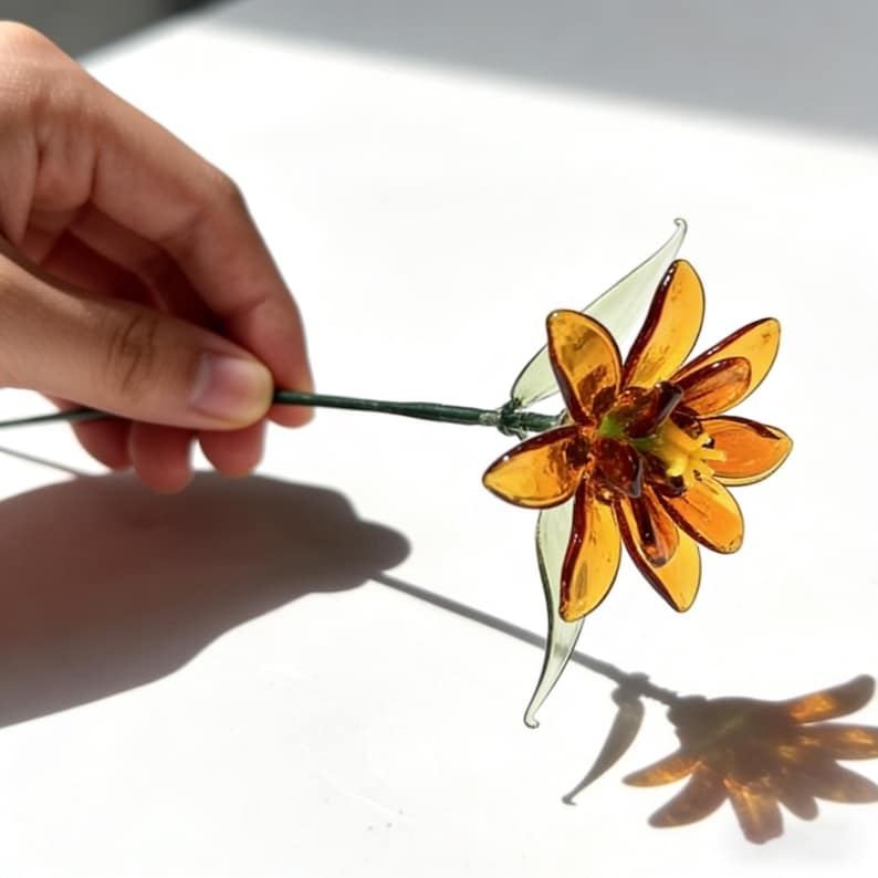 Mundgeblasene Glasringelblume, 20 cm, bernsteinfarben