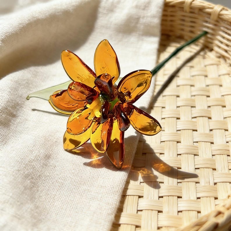 Glasringelblume, 20 cm, Orange-Gold