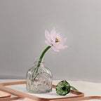 Glas Blumenvase mit Ewigblume, elegantes Blumendekor, Beileid Geschenk