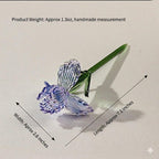 Glas Blumenvase mit Ewigblume, elegantes Blumendekor, Beileid Geschenk