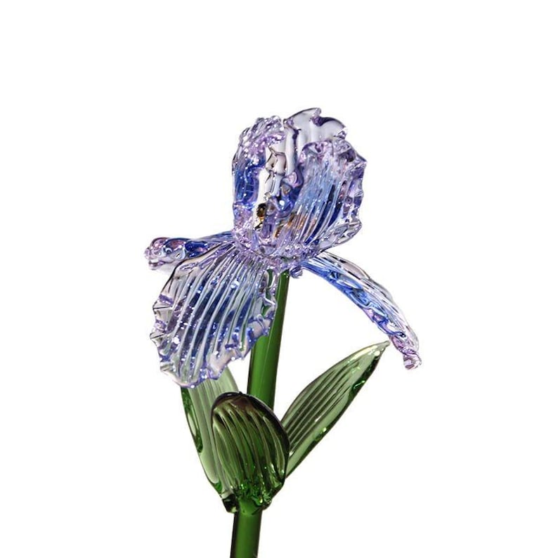 Glas Blumenvase mit Ewigblume, elegantes Blumendekor, Beileid Geschenk