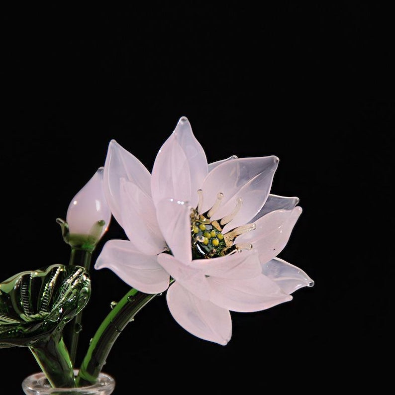 Glas Blumenvase mit Ewigblume, elegantes Blumendekor, Beileid Geschenk