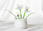 Glasblumentopf-Set, Miniatur künstliche Pflanze, Schreibtischdekoration, Weiß
