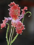 Irisblume aus Glas, lila Glasskulptur, florale Wohndekoration, 20-23 cm